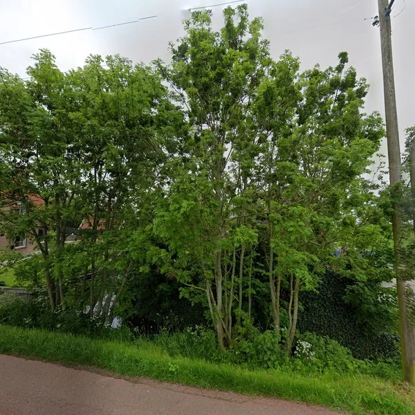 Straatbeeld van Dreef 2, 2855AL Vlist