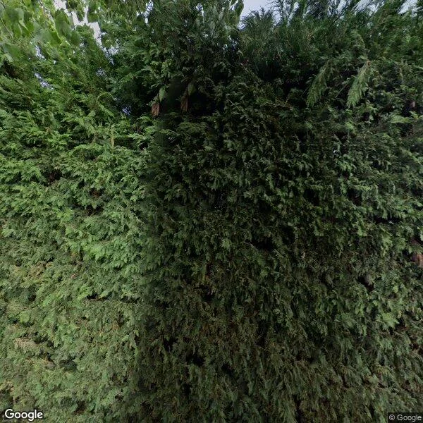 Straatbeeld van Drie Haasjes 15, 4411NJ Rilland