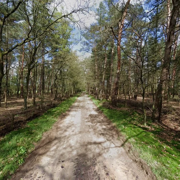 Straatbeeld van Drift 5, 3775KE Kootwijk