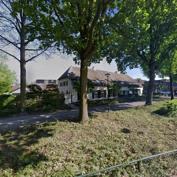 Straatbeeld van Druivelaar 17, 5467JR Veghel