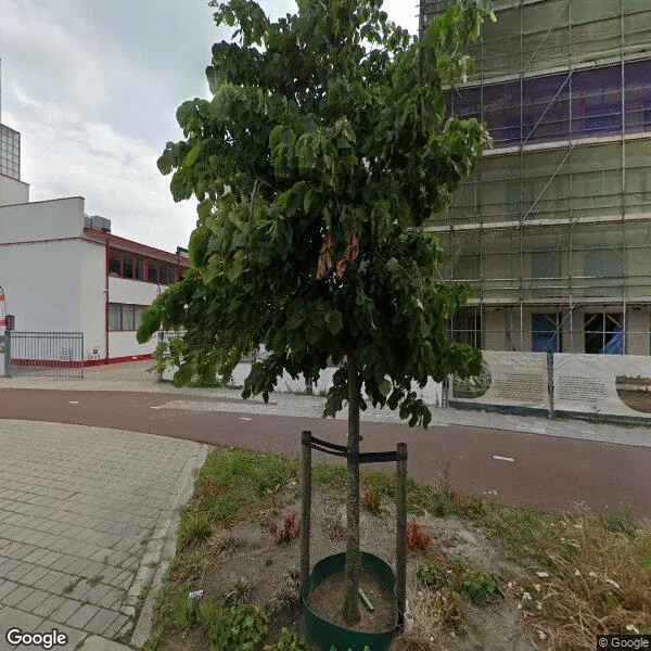 Straatbeeld van Elisabeth Brugsmapromenade 46, 3527MC Utrecht