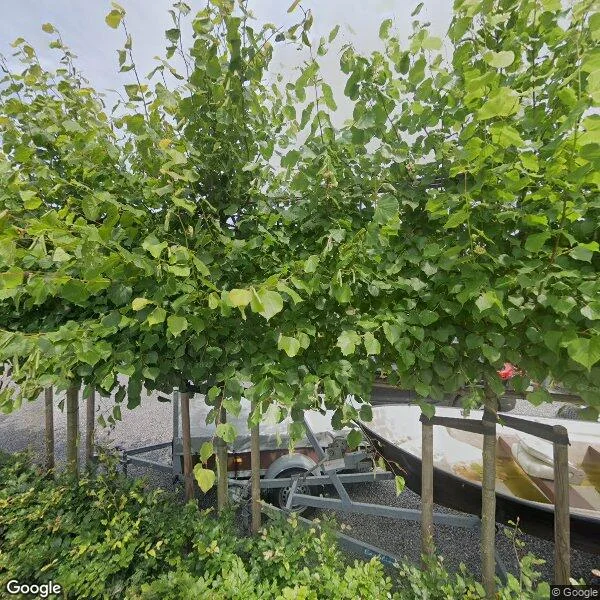 Straatbeeld van Elisabethpark 11, 4741CE Hoeven