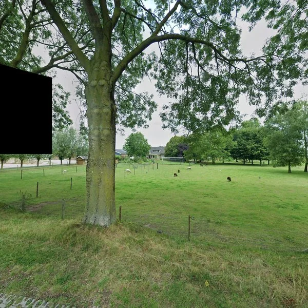Straatbeeld van Elzenbosweg 6, 6971JM Brummen