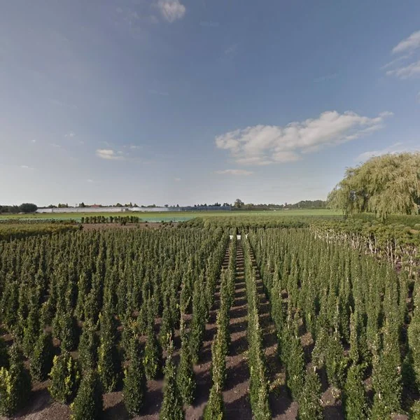 Straatbeeld van Elzenbroek 1e, 2811NX Reeuwijk