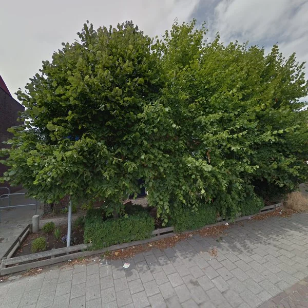 Straatbeeld van Endeldijk 1, 2675CN Honselersdijk