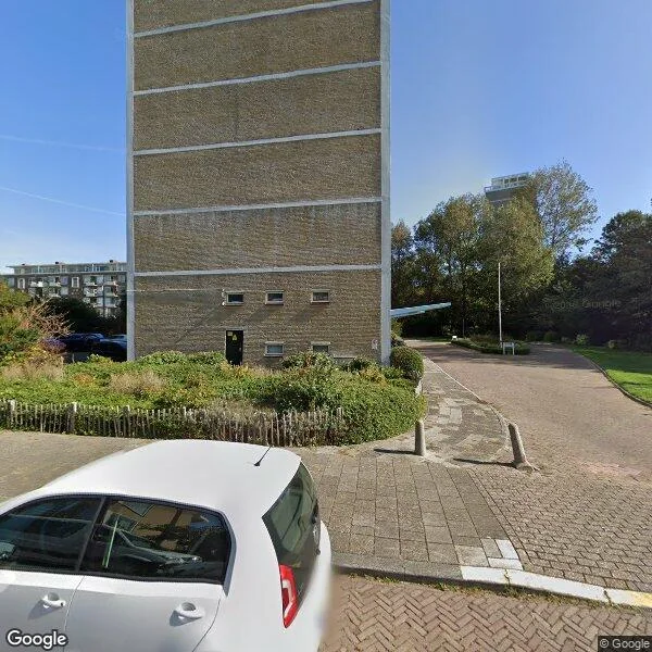 Straatbeeld van Ericalaan 169, 2555LJ Den Haag