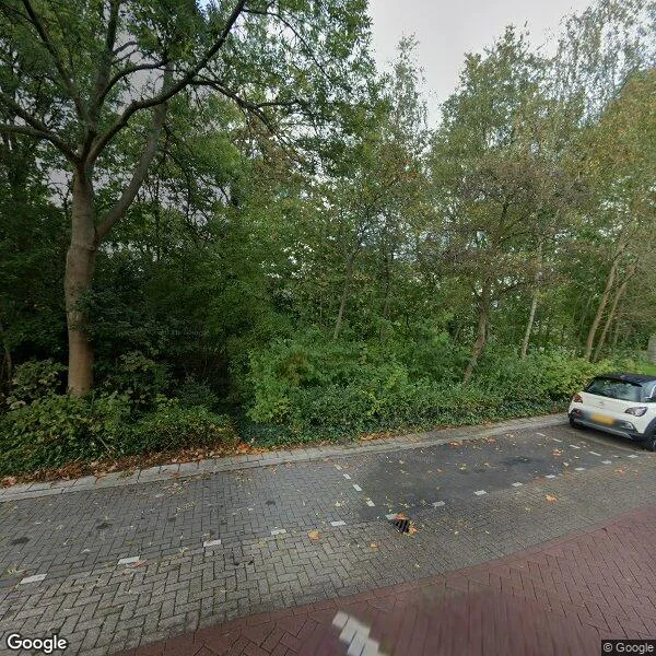 Straatbeeld van Faassenplein 66, 3123NK Schiedam