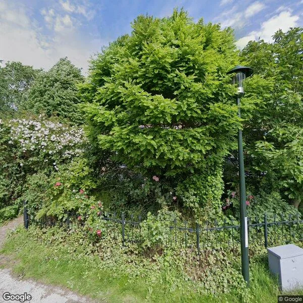 Straatbeeld van Fearhûshoeke 4, 9022BR Mantgum