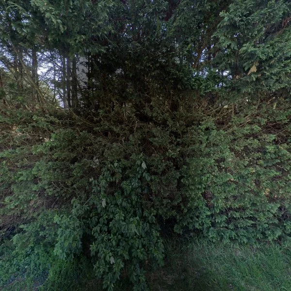 Straatbeeld van Frans Banning Cocqstraat 3, 1451MN Purmerland