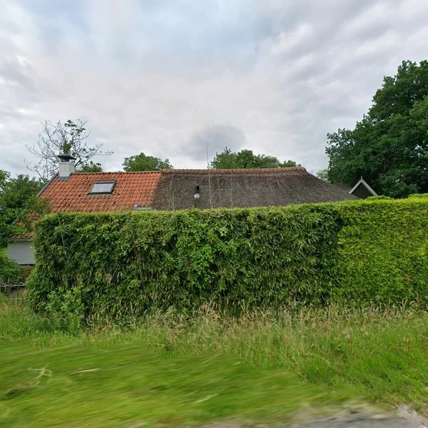 Straatbeeld van Friese Veldweg 12, 8398ET Blesdijke