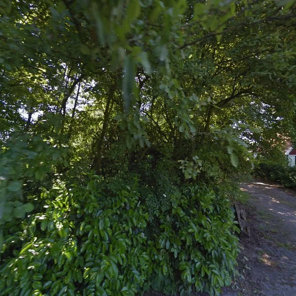 Straatbeeld van Frieslandweg 2, 6942PT Didam