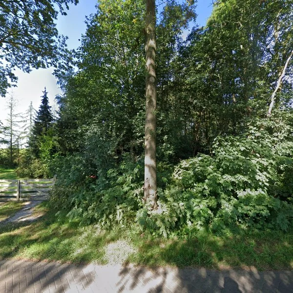 Straatbeeld van Gasselterstraat 4, 9526TA Bronnegerveen