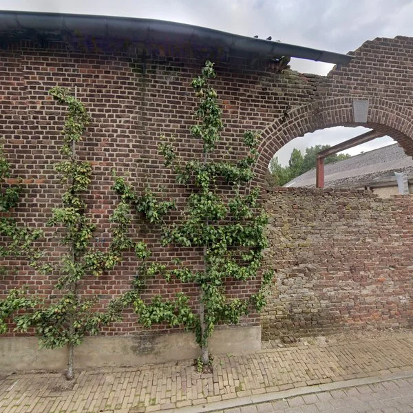 Straatbeeld van Geverikerstraat 82, 6191RR Beek