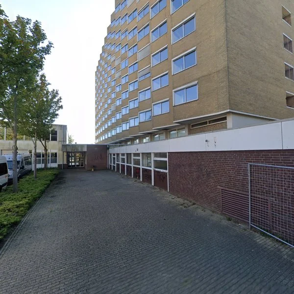 Straatbeeld van Goudenregenplein 1-610, 3203BN Spijkenisse