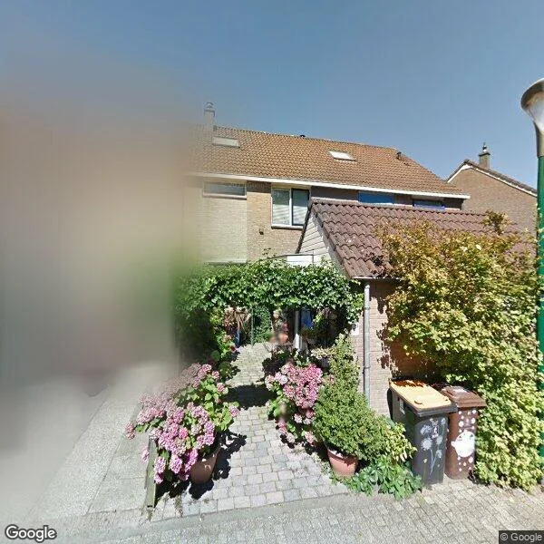 Straatbeeld van Goudse Steen 29, 3961XS Wijk bij Duurstede