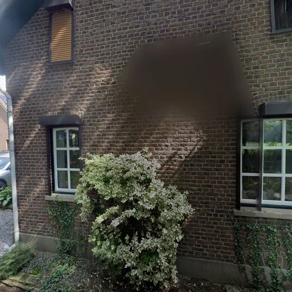 Straatbeeld van Graetheide 48, 6121RP Born
