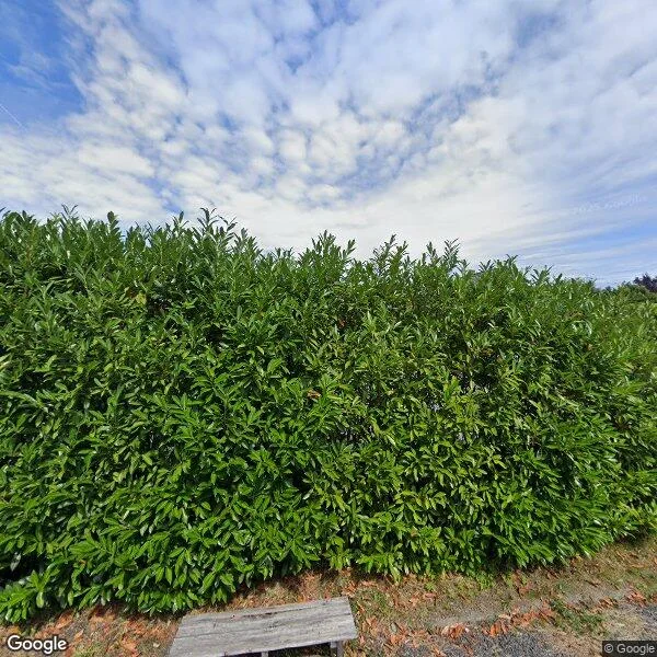 Straatbeeld van Grebbeweg 19, 3902HG Veenendaal