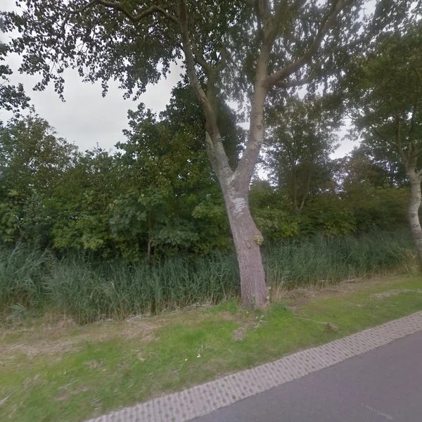 Straatbeeld van Grensweg 390, 1791NP Den Burg