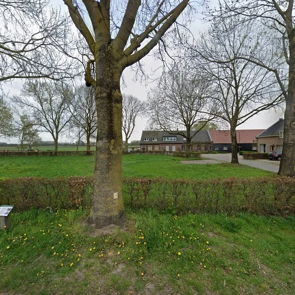 Straatbeeld van Groenendijk 44, 4909AD Oosteind