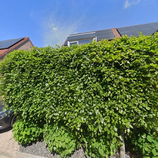Straatbeeld van Habijt 84, 1613DR Grootebroek