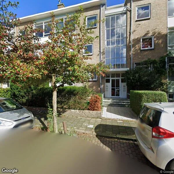 Straatbeeld van Hanedoesstraat 41, 2597XC Den Haag