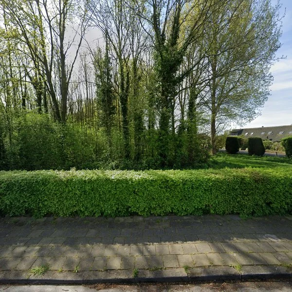 Straatbeeld van Havendijk 6, 3257LH Ooltgensplaat
