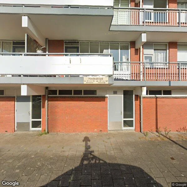 Straatbeeld van Havikskruid 133, 1112NK Diemen