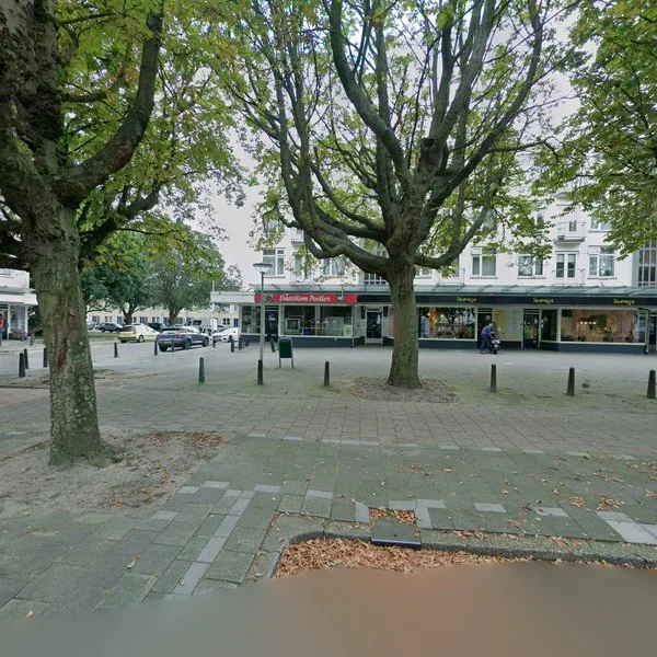 Straatbeeld van Heeswijkplein 53, 2531HD Den Haag