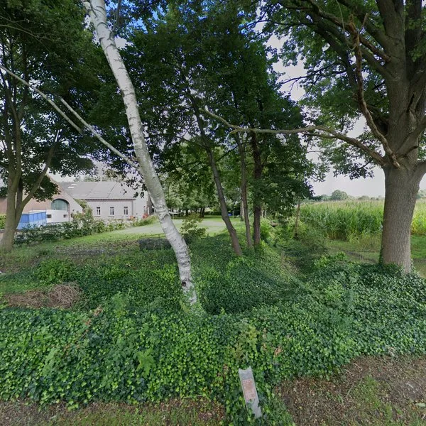 Straatbeeld van Heierhof 27A, 5991NJ Baarlo