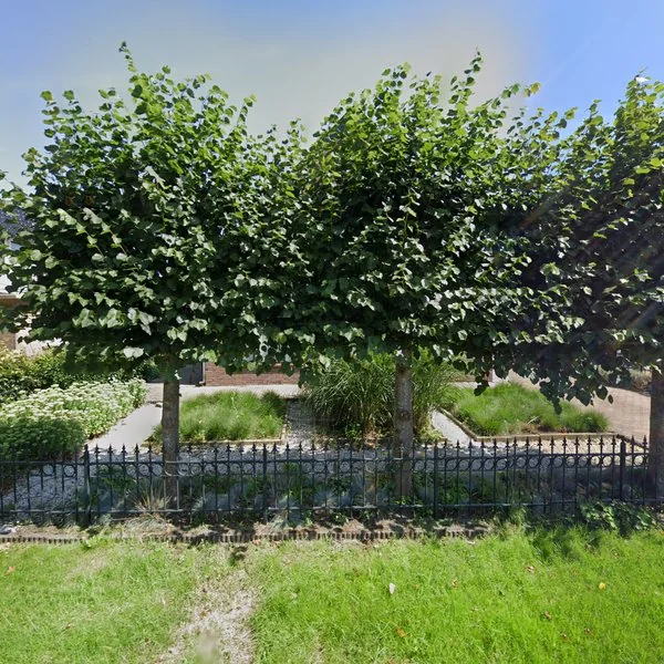 Straatbeeld van Heirweg 12, 9437TB Balinge