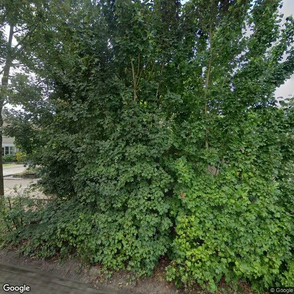 Straatbeeld van Het Bleekveld 39, 7772PV Hardenberg