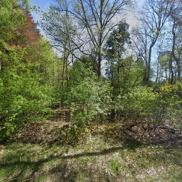 Straatbeeld van Holterbergweg 21, 7451JL Holten