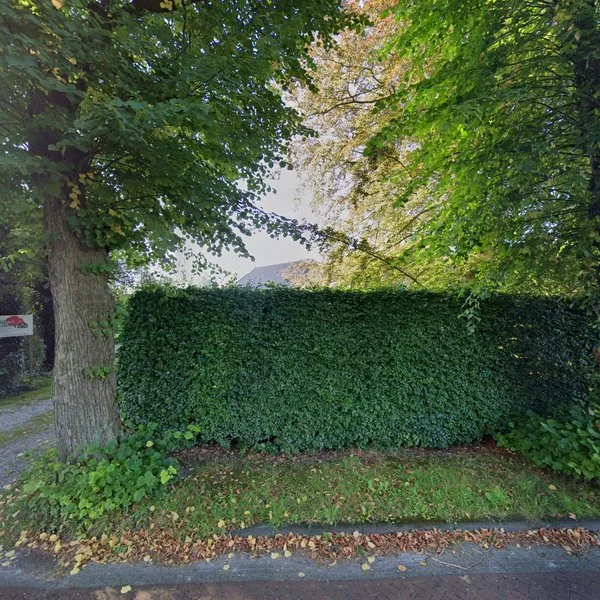 Straatbeeld van Hoofdstraat 23, 9315PA Roderwolde