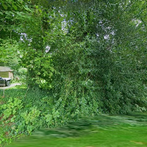 Straatbeeld van Hoofdweg 10A, 9337PA Westervelde