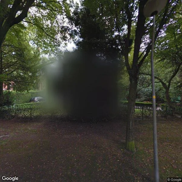 Straatbeeld van Hoog Hoefloo 27, 1251EC Laren