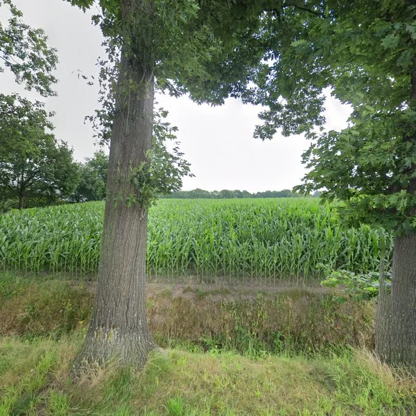 Straatbeeld van Hoogeind 47, 5124NT Molenschot