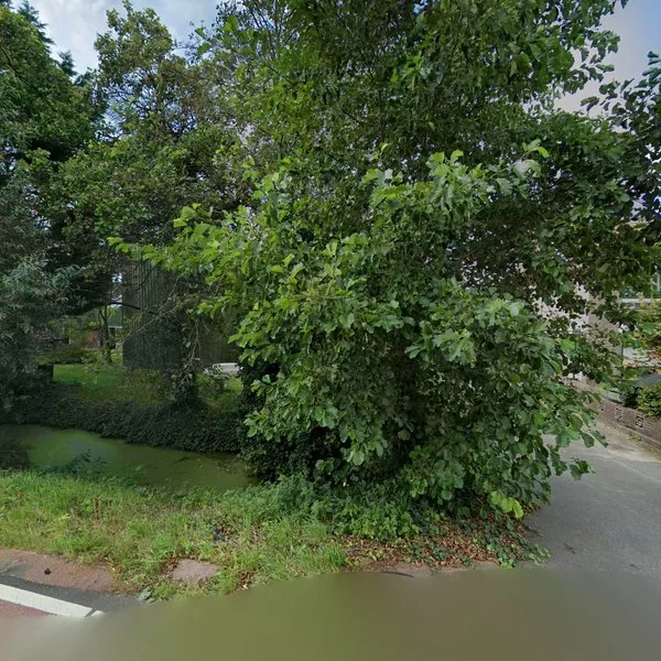 Straatbeeld van Hoogweg 20, 2678KW De Lier