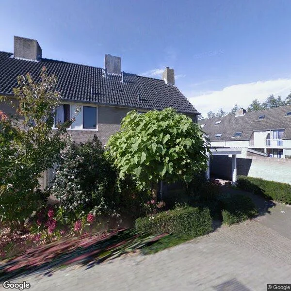 Straatbeeld van Hopveld 17, 5066MX Moergestel
