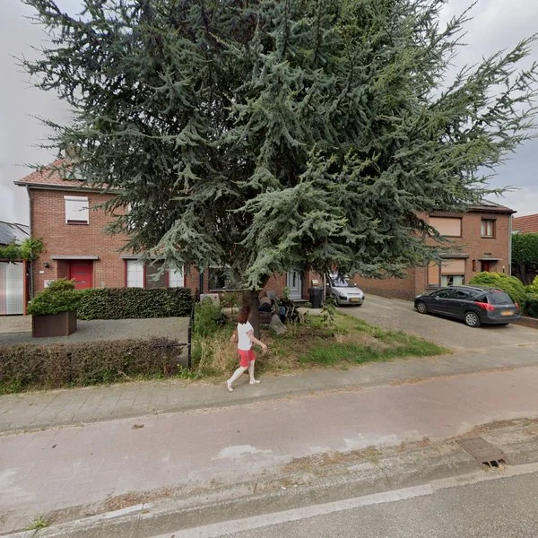 Straatbeeld van Houtstraat 133, 6102BH Echt