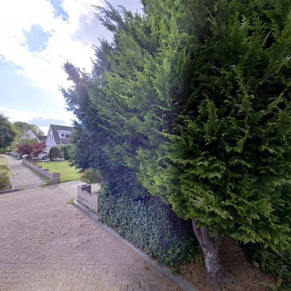 Straatbeeld van It String 39, 9045RE Bitgummole