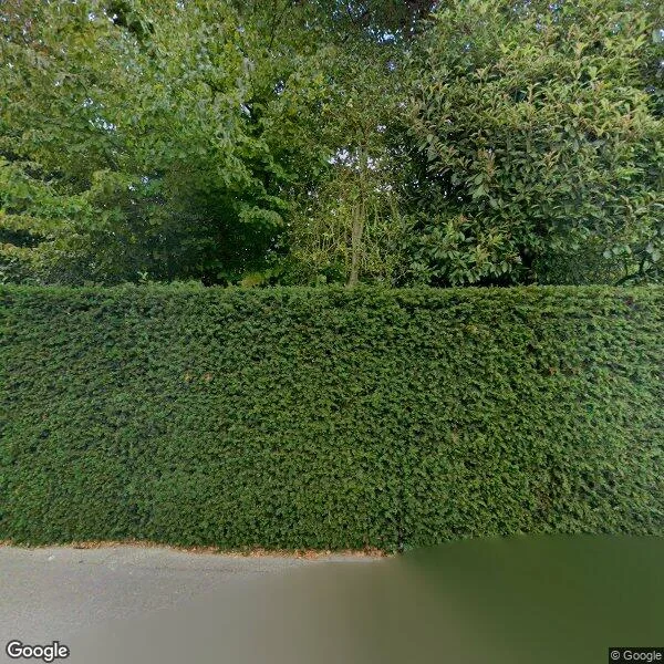 Straatbeeld van Johan de Wittlaan 6, 5631AR Eindhoven