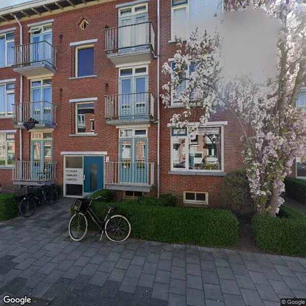Straatbeeld van Johan de Wittstraat 121, 9716CC Groningen