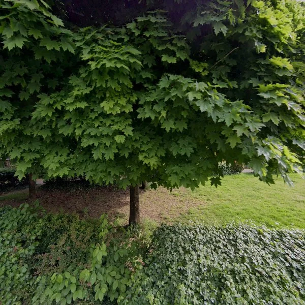 Straatbeeld van Kapellenberglaan 13, 6891AA Rozendaal