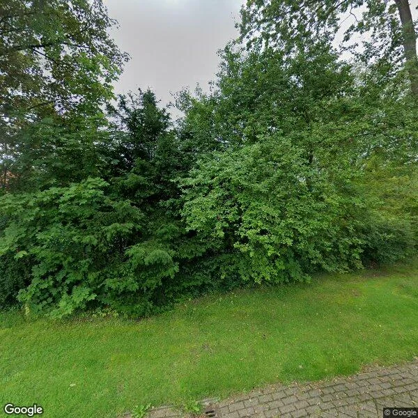 Straatbeeld van Kibbelakkers 4, 9469PX Schipborg