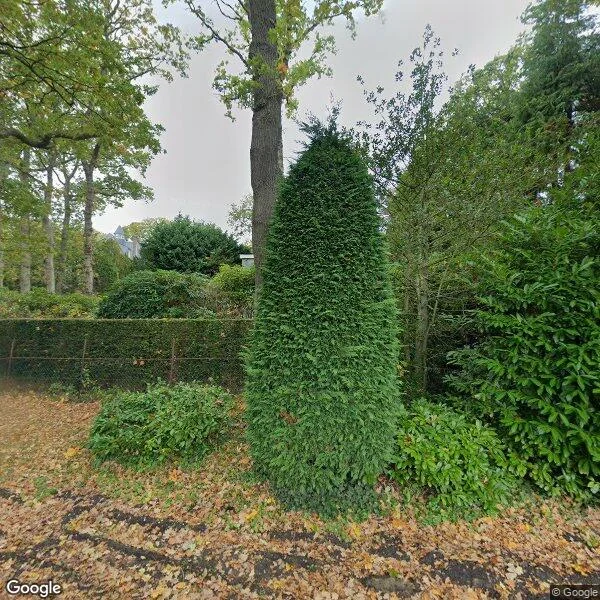 Straatbeeld van Koekoekslaan 8, 2243AT Wassenaar