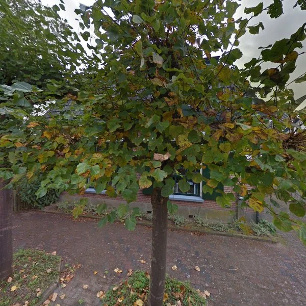 Straatbeeld van Koekoekspad 34, 8121CT Olst
