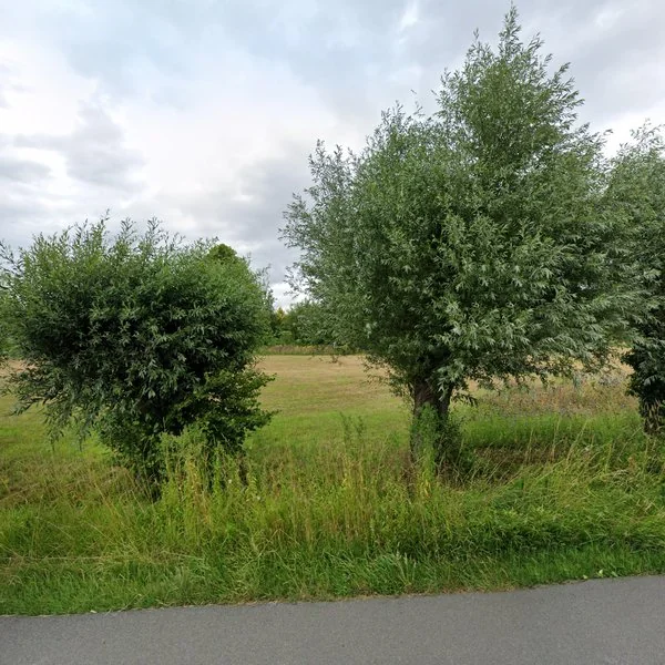 Straatbeeld van Koekoekstraat 21A, 7233PA Vierakker