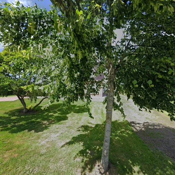 Straatbeeld van Kolderveense Bovenboer 64, 7948LW Nijeveen