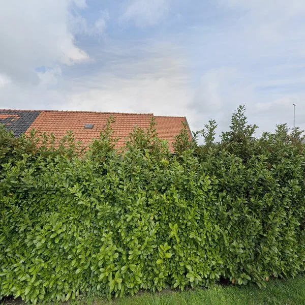 Straatbeeld van Kooiweg West 7, 4107LR Culemborg