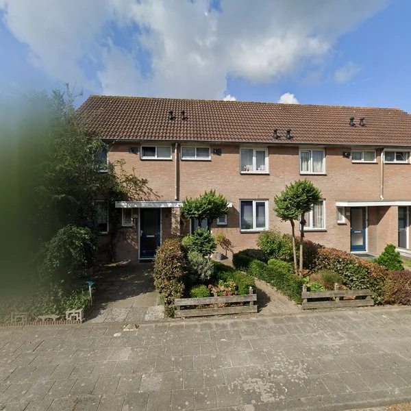 Straatbeeld van Koolmees 61, 5161SX Sprang-Capelle